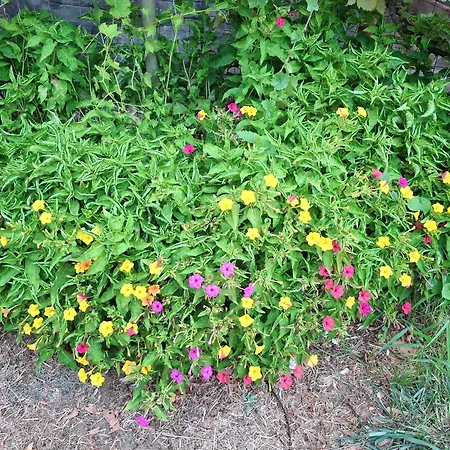 Asprovalta Beach Apartment Holiday home *