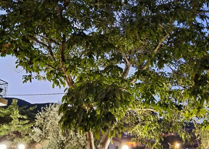 Asprovalta Beach Apartment Сasa de vacaciones *